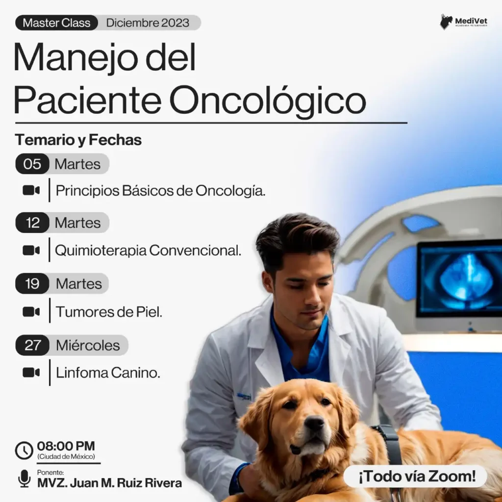 Oncología veterinaria  manejo del paciente oncológico